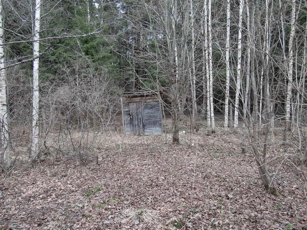 Дача у леса на опушке, фото 16