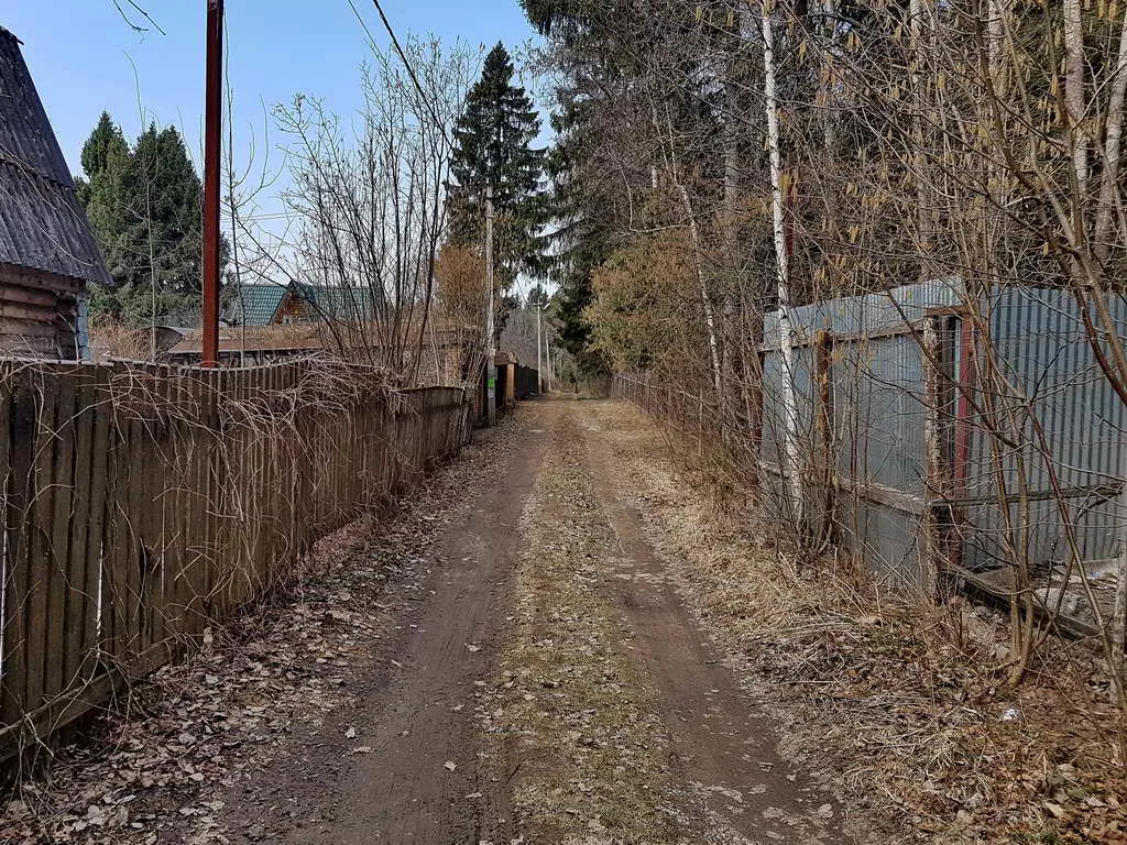 Дача вдоль елей, фото 2