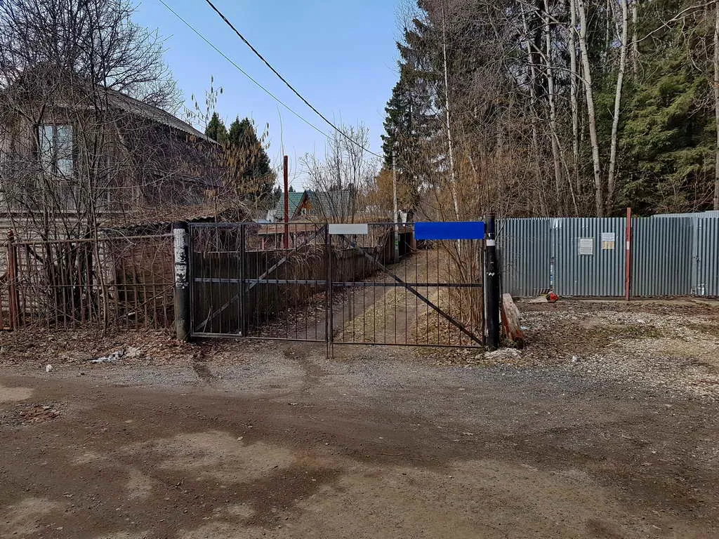 Дача вдоль елей, фото 1