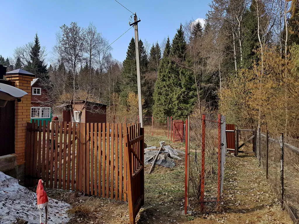 Дача вдоль елей, фото 5