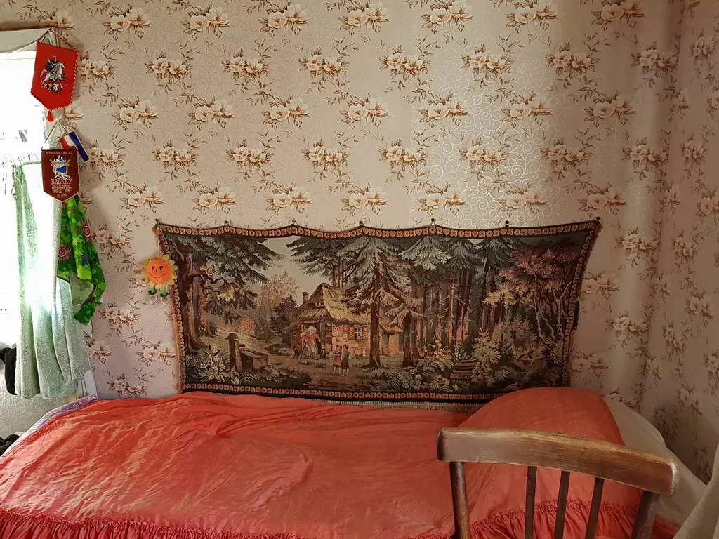 Дача вдоль елей, фото 19