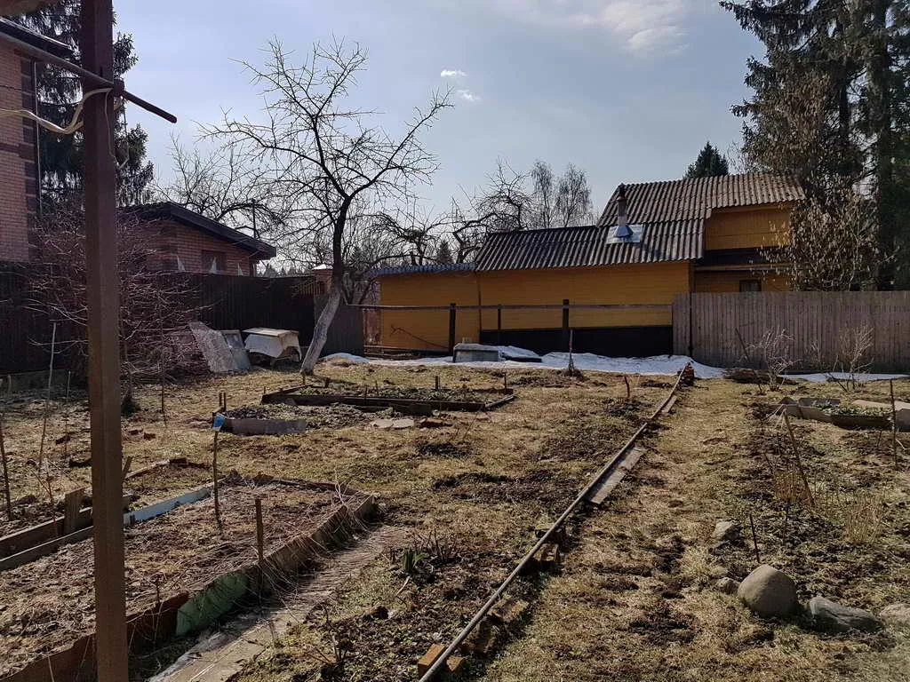 Дача вдоль елей, фото 9
