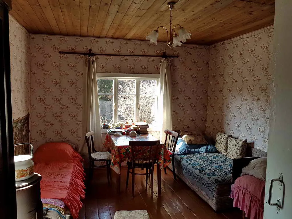 Дача вдоль елей, фото 15