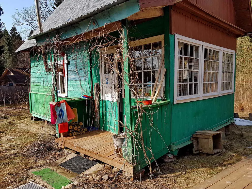 Дача вдоль елей, фото 11