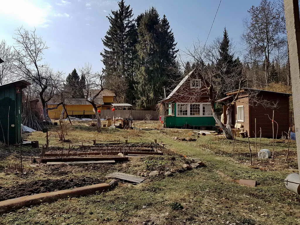 Дача вдоль елей, фото 6