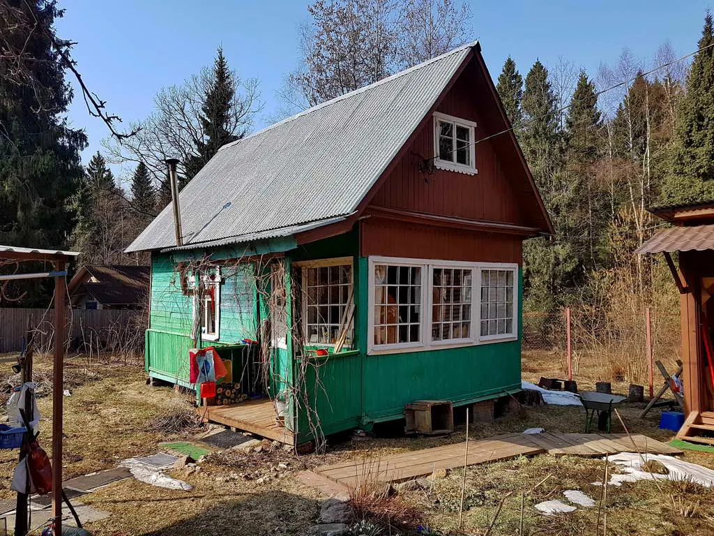 Дача вдоль елей, фото 8