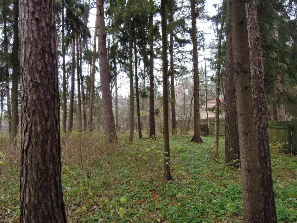 Дача Кирпичный Цилиндр, фото 9