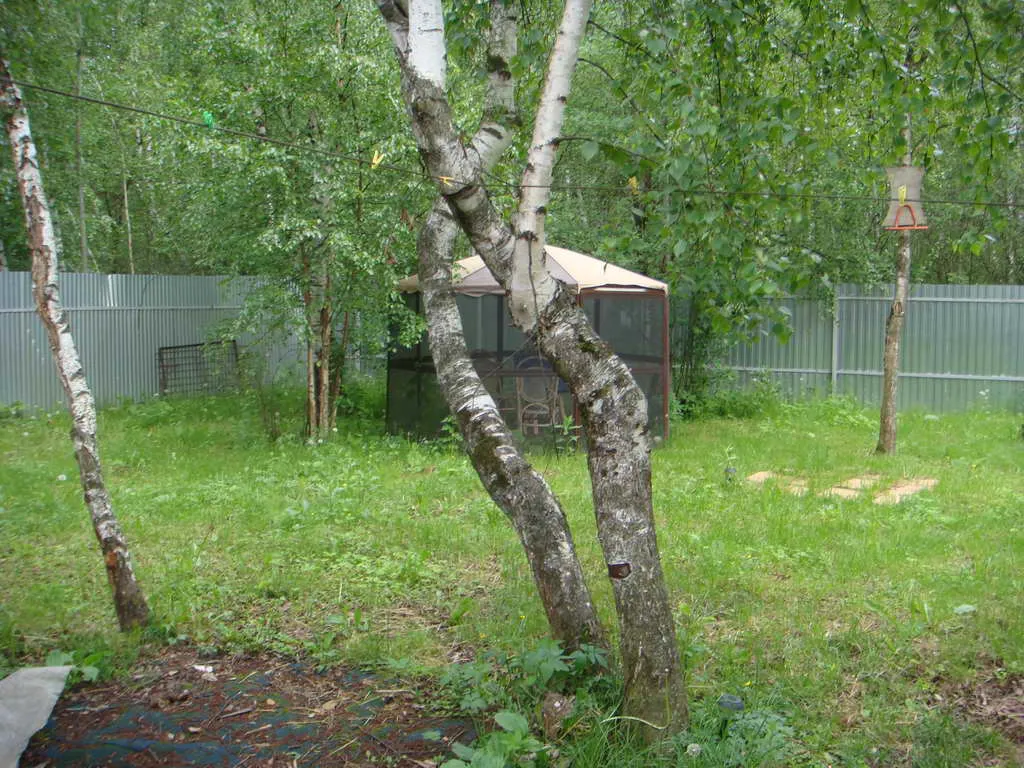 Дача в Обшивке, фото 9