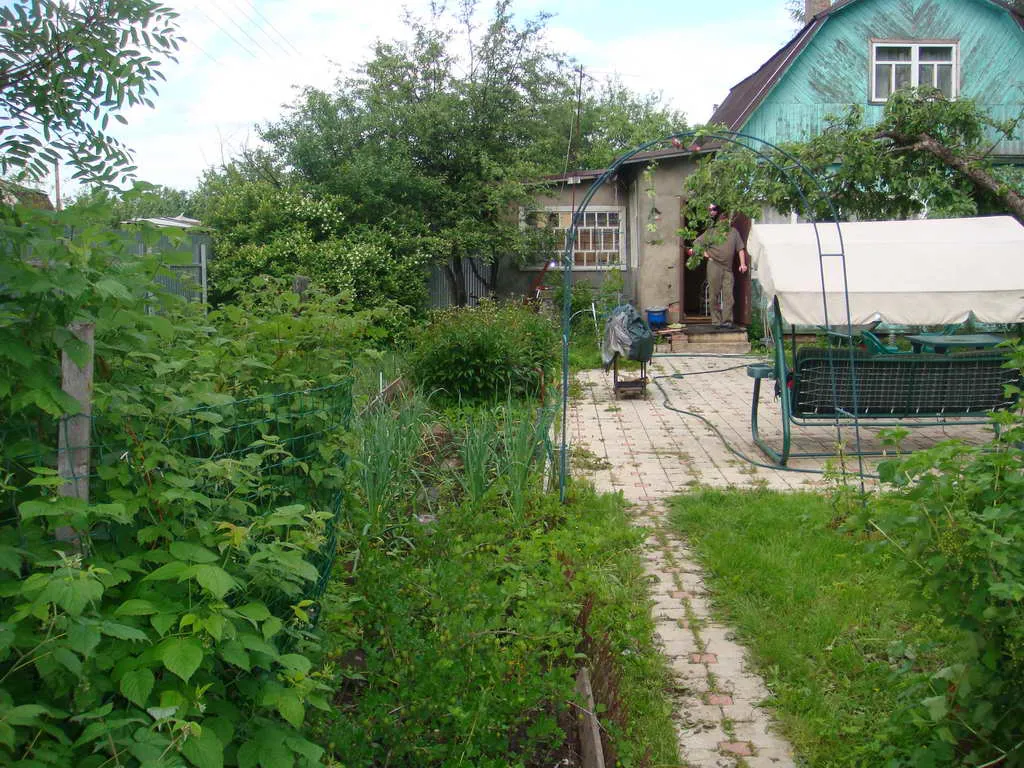 Дача в Обшивке, фото 19