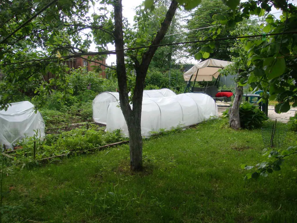 Дача в Обшивке, фото 13