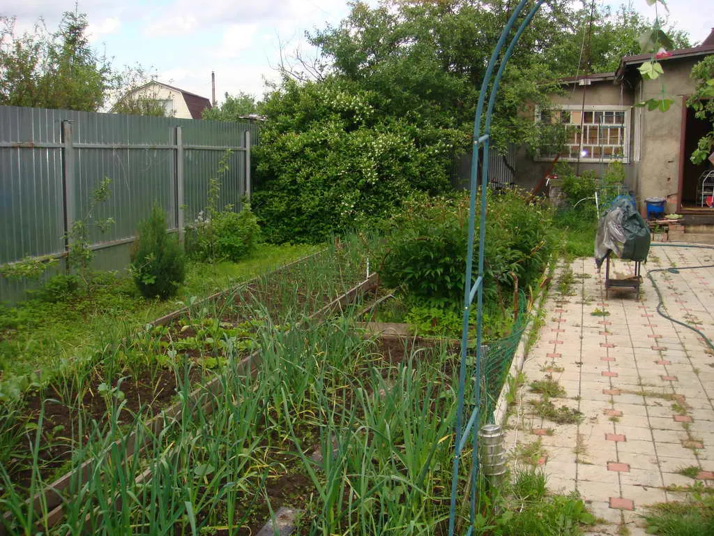 Дача в Обшивке, фото 20