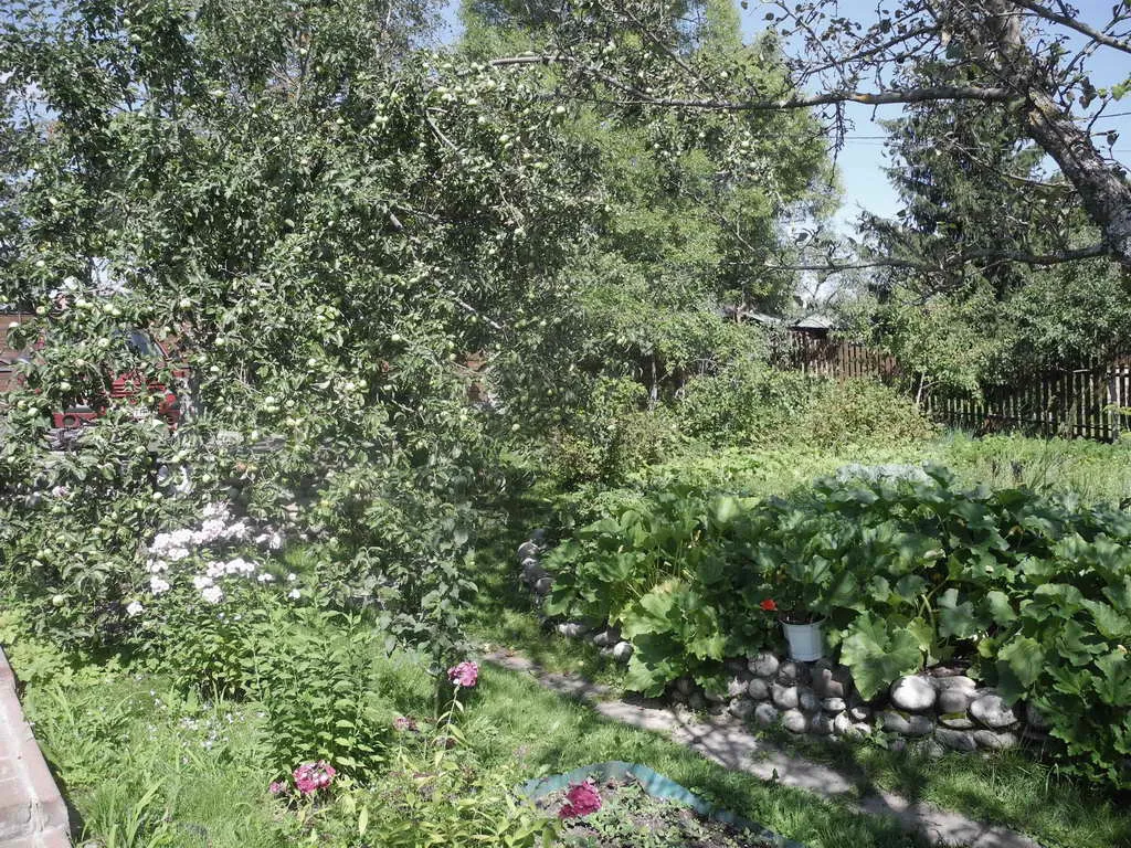 Дача в садовом товариществе, фото 8