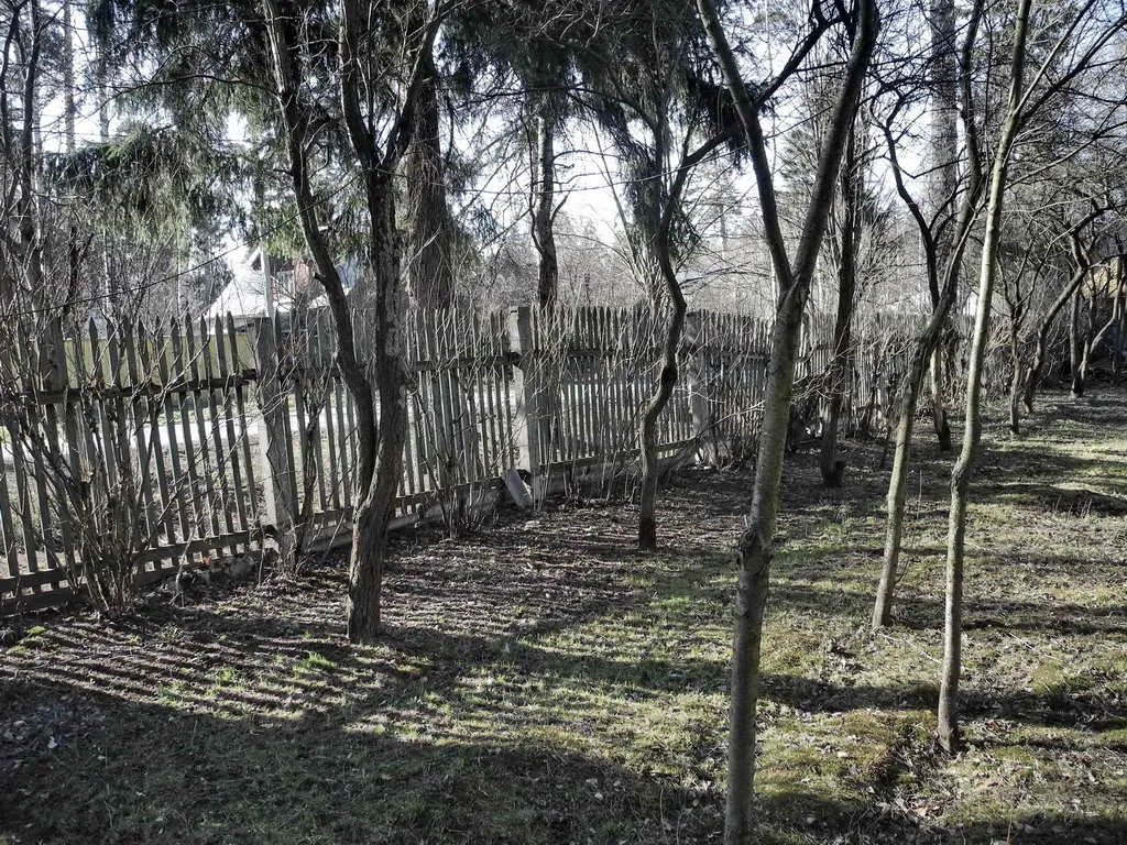Деревенская дача в лесу, фото 4
