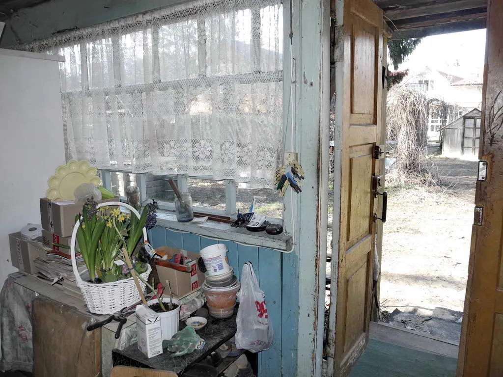 Деревенская дача в лесу, фото 17