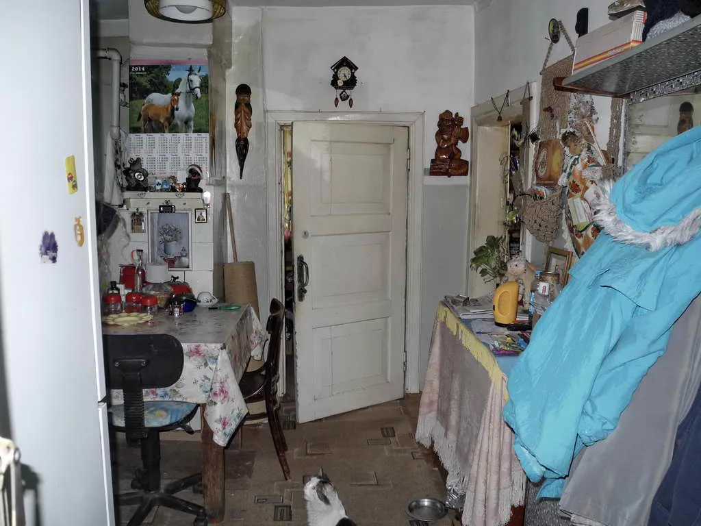 Деревенская дача в лесу, фото 18