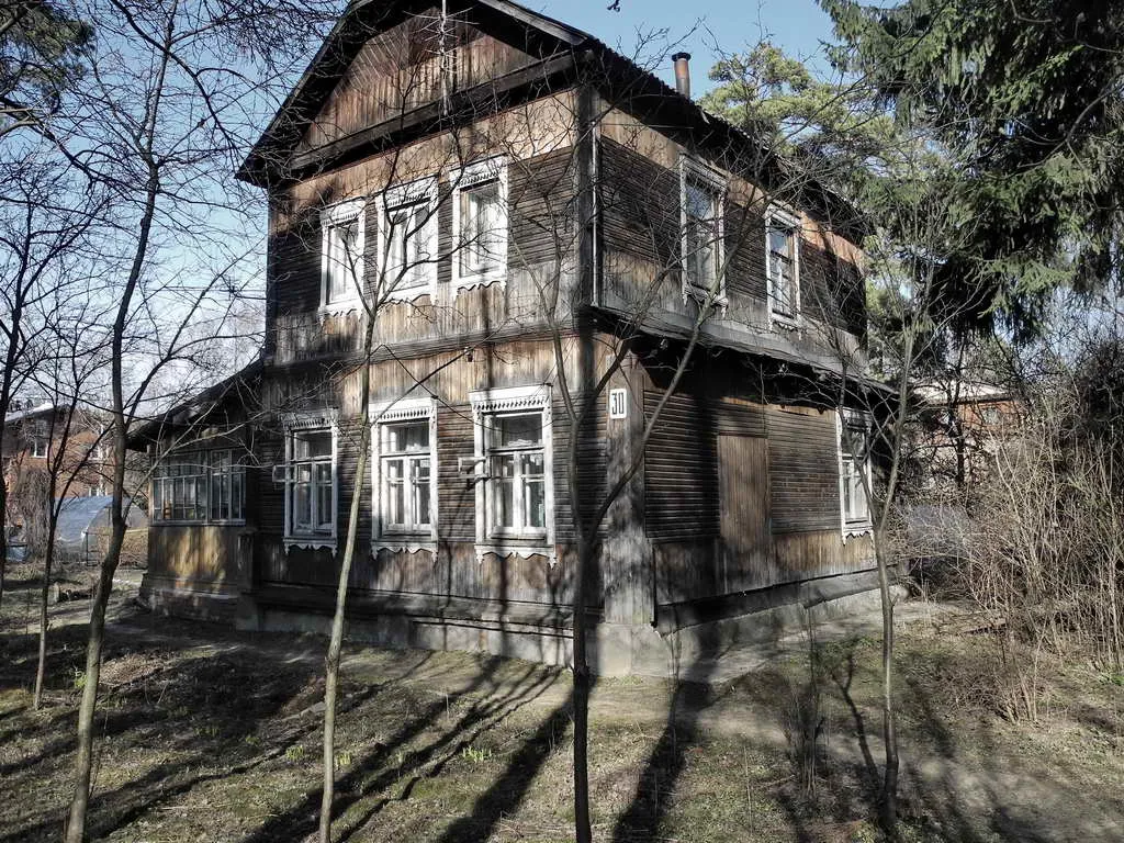 Деревенская дача в лесу, фото 2