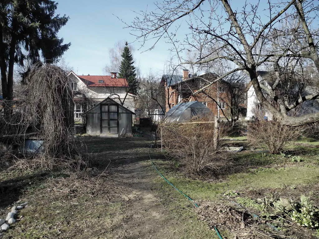 Деревенская дача в лесу, фото 8