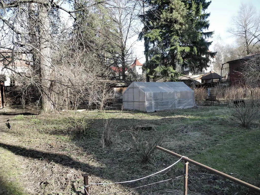 Деревенская дача в лесу, фото 9