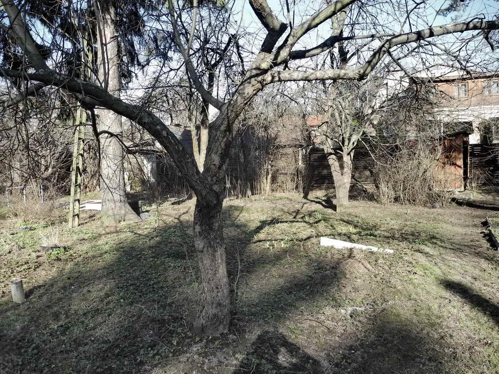 Деревенская дача в лесу, фото 10