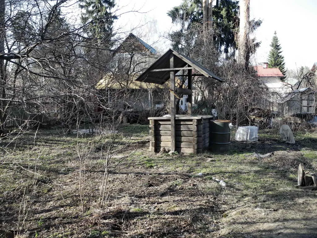 Деревенская дача в лесу, фото 5