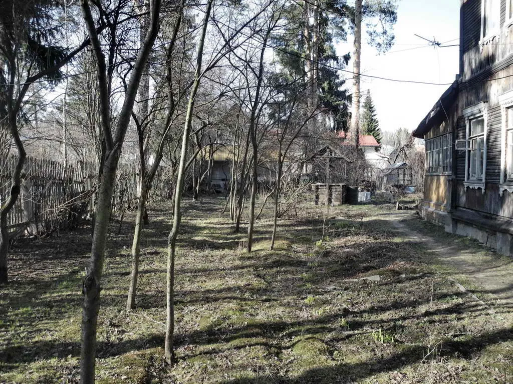 Деревенская дача в лесу, фото 3