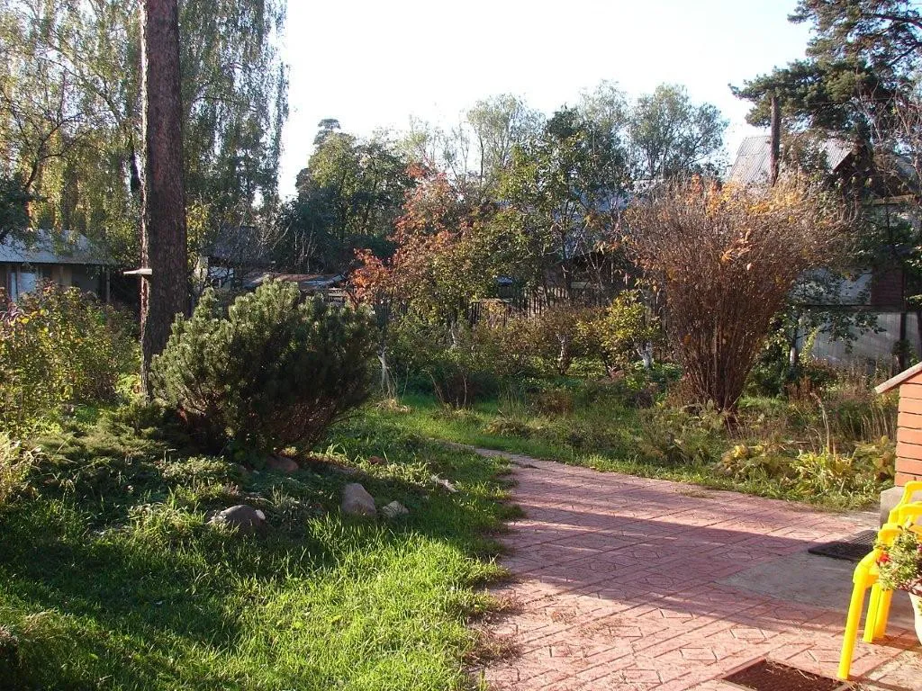 Дача с верандой и садом, фото 5