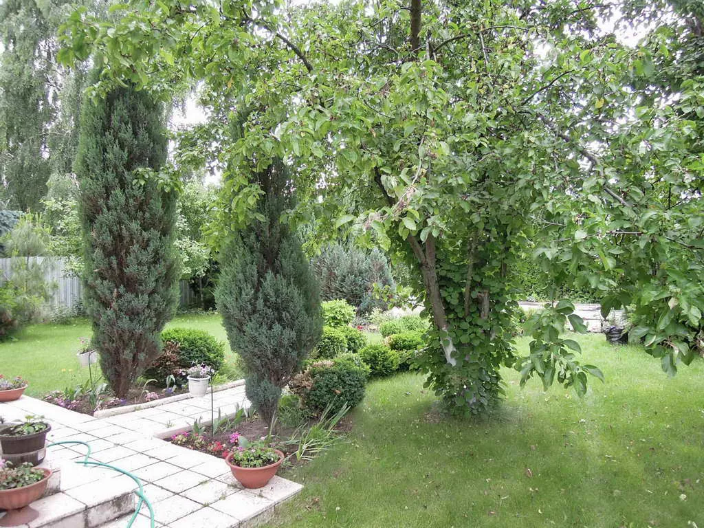 Коттедж с лепниной, фото 13
