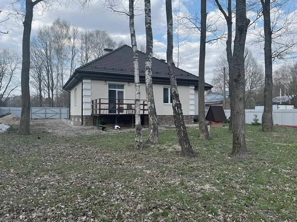 Берёзовая усадьба у леса, фото 1