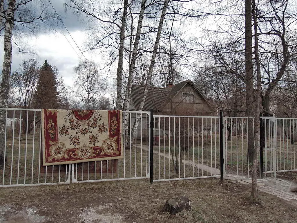 Дача с ковром на заборе, фото 1