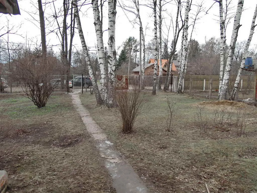 Дача с ковром на заборе, фото 24