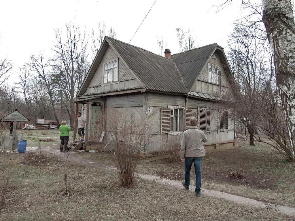 Дача с ковром на заборе, фото 2