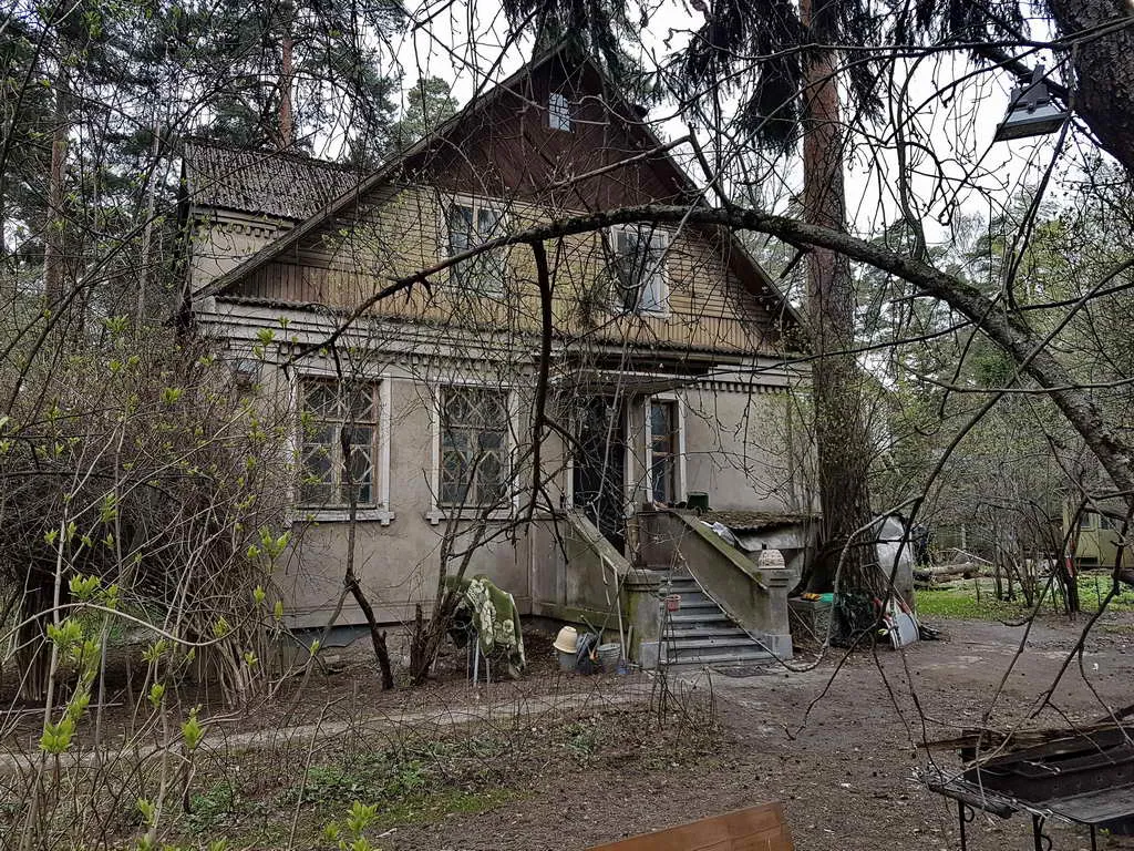 Старый дом в лесу, фото 7