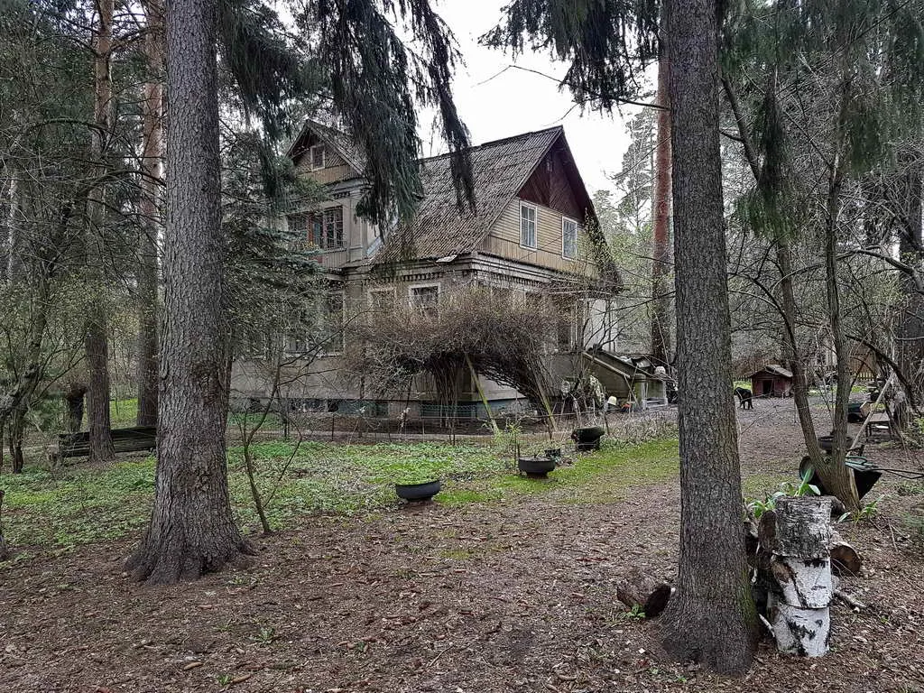 Старый дом в лесу, фото 5