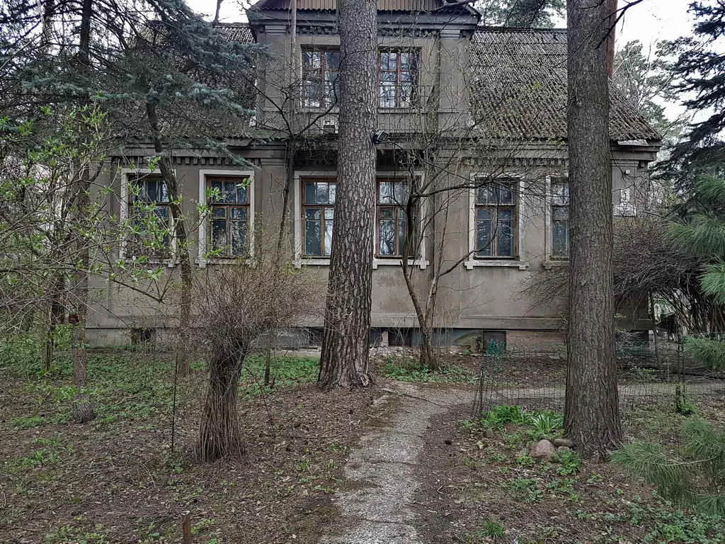 Старый дом в лесу, фото 3