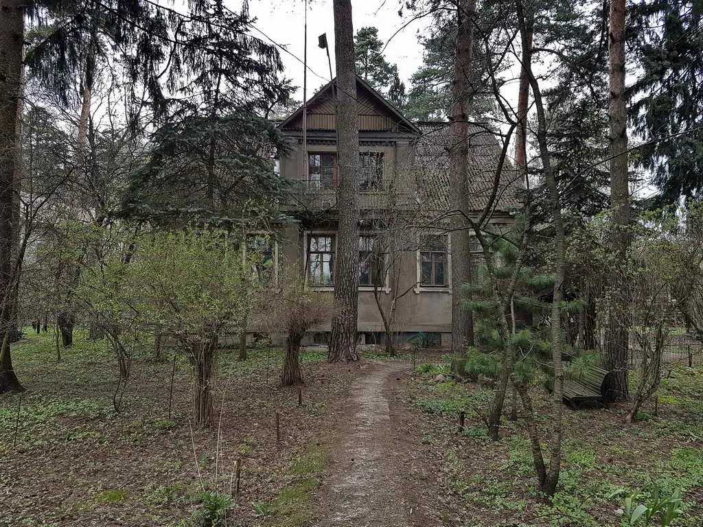 Старый дом в лесу, фото 2
