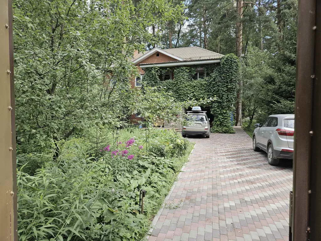 Дом в лесном массиве, фото 3