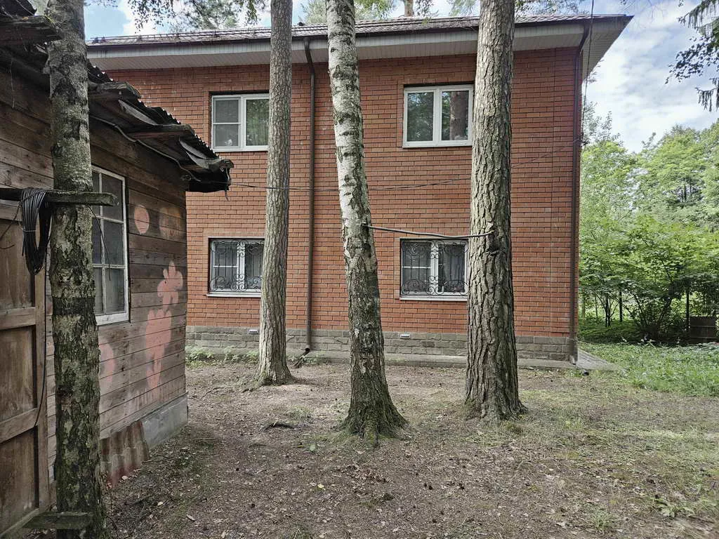 Дом в лесном массиве, фото 18