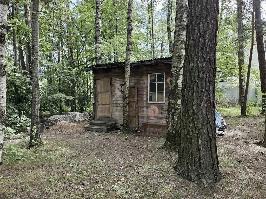 Дом в лесном массиве, фото 20