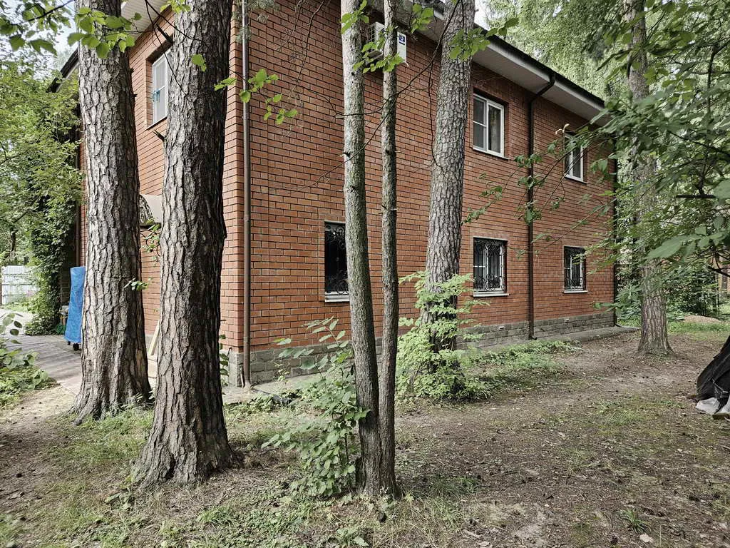 Дом в лесном массиве, фото 15