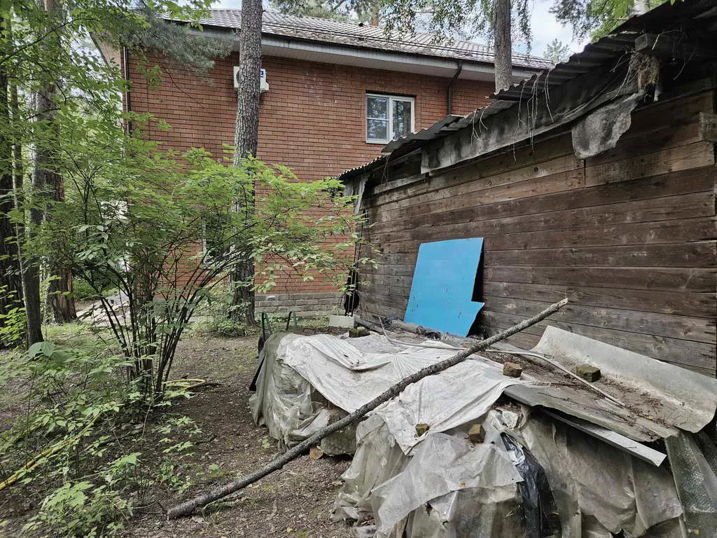 Дом в лесном массиве, фото 16