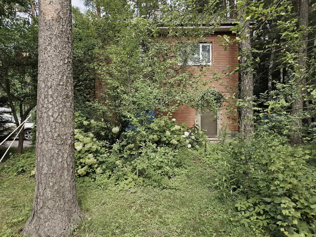 Дом в лесном массиве, фото 12