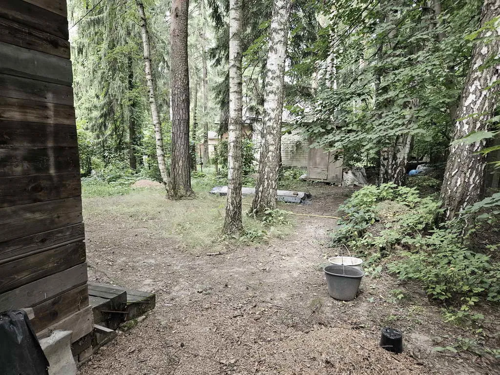 Дом в лесном массиве, фото 17