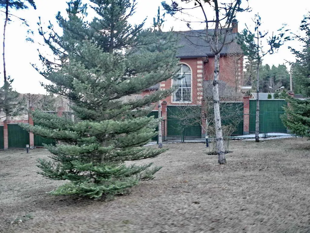 Дом в соснах с прудом, фото 21