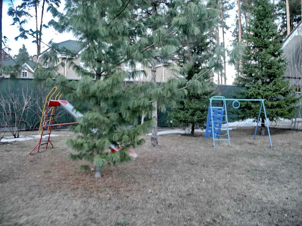 Дом в соснах с прудом, фото 8