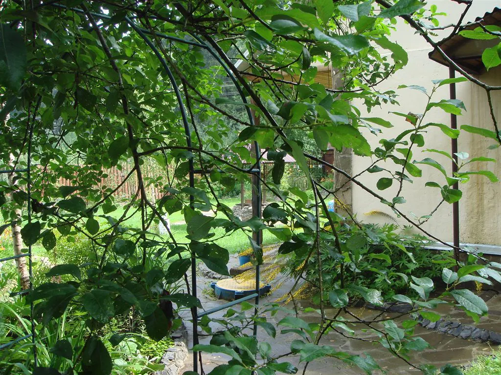 Дача с колодцем, фото 2