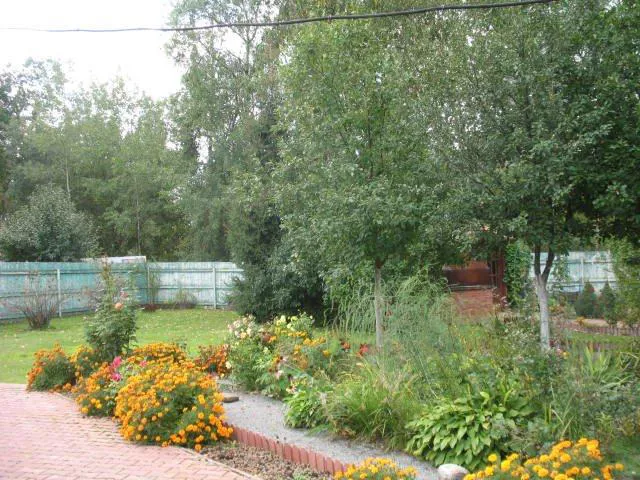 Дача с мятным забором, фото 7