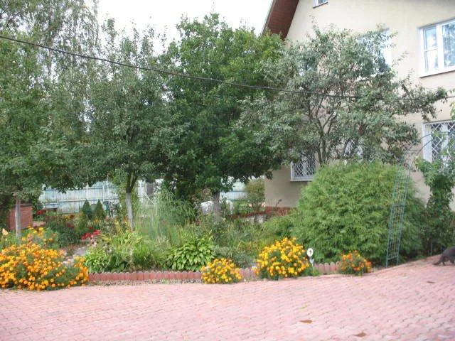 Дача с мятным забором, фото 6