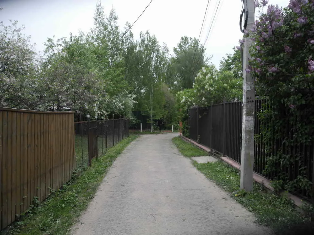 Дача с сиренью, фото 1