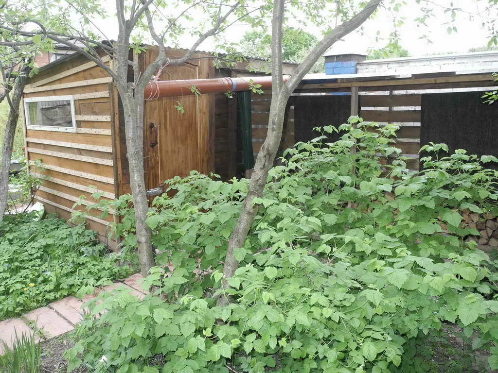 Дача с сиренью, фото 22