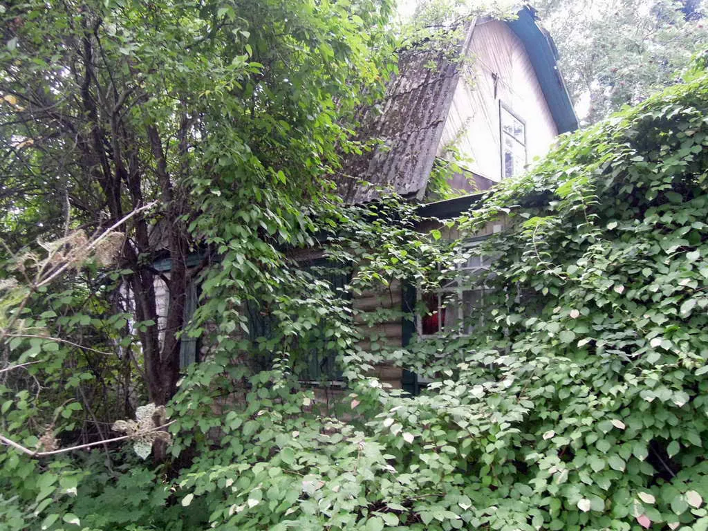 Дача с аркой-тоннелем, фото 9